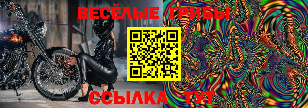 Псилоцибиновые грибы Psilocybine cubensis Мурино